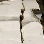 Gosciniec